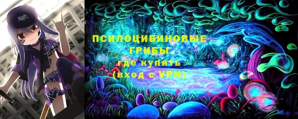 амфетамин Алексеевка
