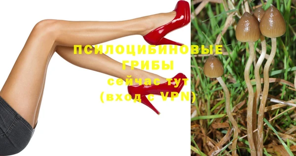 амфетамин Алексеевка