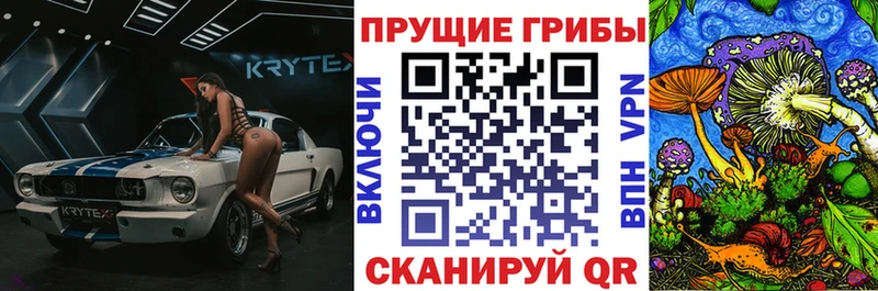 Галлюциногенные грибы Psilocybe  Елец 